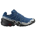 Męskie buty do biegania Salomon Speedcross 6 Gore-Tex Poseidon/Black/Lunar Rock