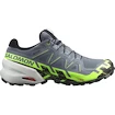 Męskie buty do biegania Salomon Speedcross 6 Gtx Flint/Grgeck/Black