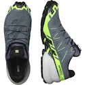 Męskie buty do biegania Salomon Speedcross 6 Gtx Flint/Grgeck/Black