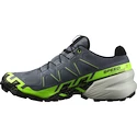 Męskie buty do biegania Salomon SPEEDCROSS 6 GTX Flint/Grgeck/Black