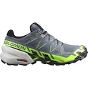 Męskie buty do biegania Salomon Speedcross 6 Gtx Flint/Grgeck/Black