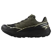 Męskie buty do biegania Salomon Thundercross  Gore-Tex Olive Night/Black/Alfalfa