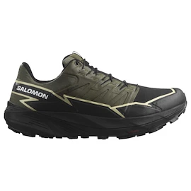 Męskie buty do biegania Salomon Thundercross Gore-Tex Olive Night/Black/Alfalfa