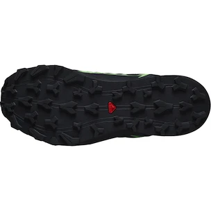 Męskie buty do biegania Salomon Thundercross  GTX Black/Grgeck/Black
