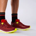 Męskie buty do biegania Salomon Ultra Glide Biking Red/Lunar Rock