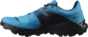 Męskie buty do biegania Salomon  Wildcross 2 GTX Barrier Reef