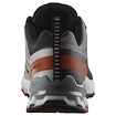 Męskie buty do biegania Salomon Xa Pro 3D V9 Castlerock/Black/Burnt Ochre