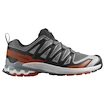 Męskie buty do biegania Salomon Xa Pro 3D V9 Castlerock/Black/Burnt Ochre