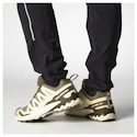 Męskie buty do biegania Salomon Xa Pro 3D V9 Deep Lichen Green/Safari/Dark Earth