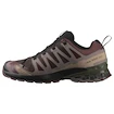 Męskie buty do biegania Salomon Xa Pro 3D V9 Gore-Tex Black Coffee/Rum Raisin/Olive Night