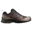 Męskie buty do biegania Salomon Xa Pro 3D V9 Gore-Tex Black Coffee/Rum Raisin/Olive Night