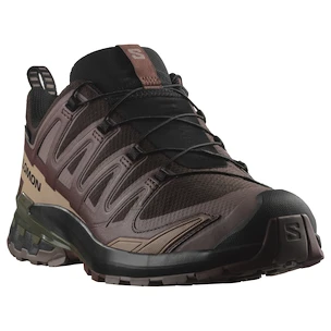 Męskie buty do biegania Salomon Xa Pro 3D V9 Gore-Tex Black Coffee/Rum Raisin/Olive Night