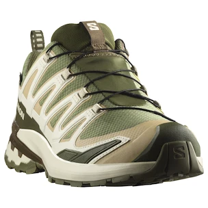 Męskie buty do biegania Salomon Xa Pro 3D V9 Gore-Tex Deep Lichen Green/Safari/Dark Earth