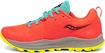 Męskie buty do biegania Saucony  Peregrine 10