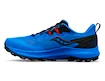 Męskie buty do biegania Saucony Peregrine 14 Cobalt/Black