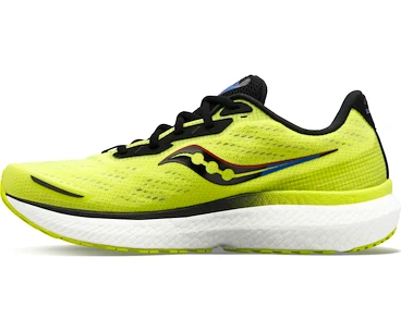 Męskie buty do biegania Saucony  Triumph 19 Acid/Blue Raz