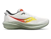 Męskie buty do biegania Saucony  Triumph 21 Fog/Bough