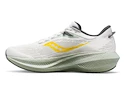 Męskie buty do biegania Saucony  Triumph 21 Fog/Bough