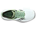 Męskie buty do biegania Saucony  Triumph 21 White/Umbra