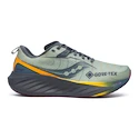 Męskie buty do biegania Saucony  Triumph 22 Gtx Sage/Carbon  UK 10,5