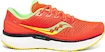 Męskie buty do biegania Saucony  Triumph