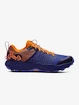 Męskie buty do biegania Under Armour HOVR Ridge TR-BLU  EUR 47,5