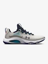 Męskie buty do biegania Under Armour HOVR Rise 4-GRY  EUR 45,5