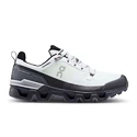 Męskie buty gimnastyczne On Cloudwander Cloudwander Waterproof Glacier/Eclipse