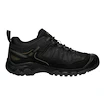 Męskie buty outdoorowe Keen TARGHEE IV WP Triple black