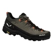 Męskie buty outdoorowe Salewa  Alp Trainer 2 Bungee Cord/Black