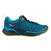 Męskie buty outdoorowe Salewa  MS Dropline