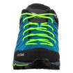 Męskie buty outdoorowe Salewa  MS MTN Trainer Lite