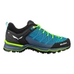 Męskie buty outdoorowe Salewa MS MTN Trainer Lite