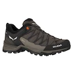 Męskie buty outdoorowe Salewa  MS MTN Trainer Lite Gtx  Wallnut/Fluo Orange