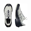 Męskie buty outdoorowe Salomon  ELIXIR ACTIV Glacier Gray/Carbon/Slate Green