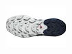 Męskie buty outdoorowe Salomon  ELIXIR ACTIV Glacier Gray/Carbon/Slate Green