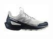 Męskie buty outdoorowe Salomon  ELIXIR ACTIV Glacier Gray/Carbon/Slate Green