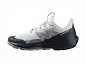 Męskie buty outdoorowe Salomon  ELIXIR ACTIV Glacier Gray/Carbon/Slate Green