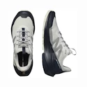 Męskie buty outdoorowe Salomon  ELIXIR ACTIV Glacier Gray/Carbon/Slate Green