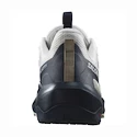 Męskie buty outdoorowe Salomon ELIXIR ACTIV Glacier Gray/Carbon/Slate Green