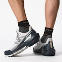 Męskie buty outdoorowe Salomon  ELIXIR ACTIV Glacier Gray/Carbon/Slate Green