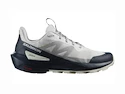 Męskie buty outdoorowe Salomon  ELIXIR ACTIV Glacier Gray/Carbon/Slate Green