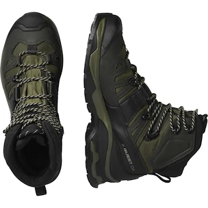 Męskie buty outdoorowe Salomon Quest 4 Gore-Tex Olive Night/Peat/Safari  UK 9