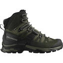 Męskie buty outdoorowe Salomon Quest 4 Gore-Tex Olive Night/Peat/Safari  UK 9