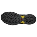 Męskie buty outdoorowe Salomon X Ultra 360 Gore-Tex Castlerock/Black/Spicy Mustard