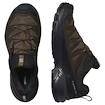 Męskie buty outdoorowe Salomon X Ultra 360 Leather Gore-Tex Dark Earth/Delicioso/Sharkskin