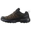 Męskie buty outdoorowe Salomon X Ultra 360 Leather Gore-Tex Dark Earth/Delicioso/Sharkskin