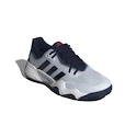 Męskie buty tenisowe adidas Solematch Control 2 Clay Halo Blue