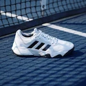 Męskie buty tenisowe adidas Solematch Control 2 Cloud White