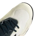 Męskie buty tenisowe adidas Solematch Control 2 White/Silver